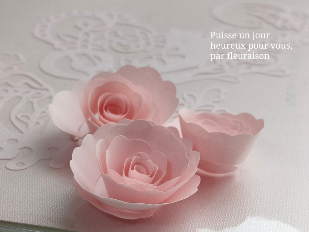 ごあいさつ　～50歳から始めること～