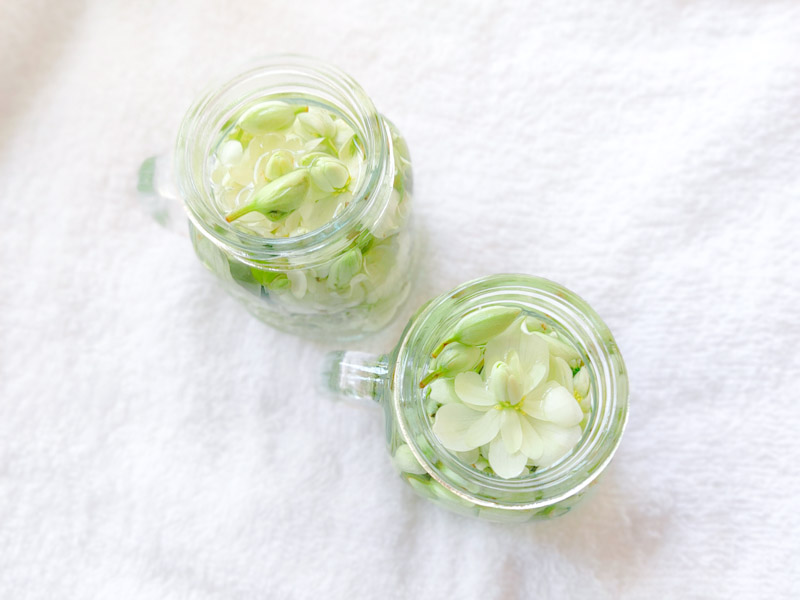 【月の暦】2023年 二十四節気・七十二候カレンダー